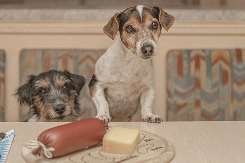 what happens if a dog eats a chicken bone