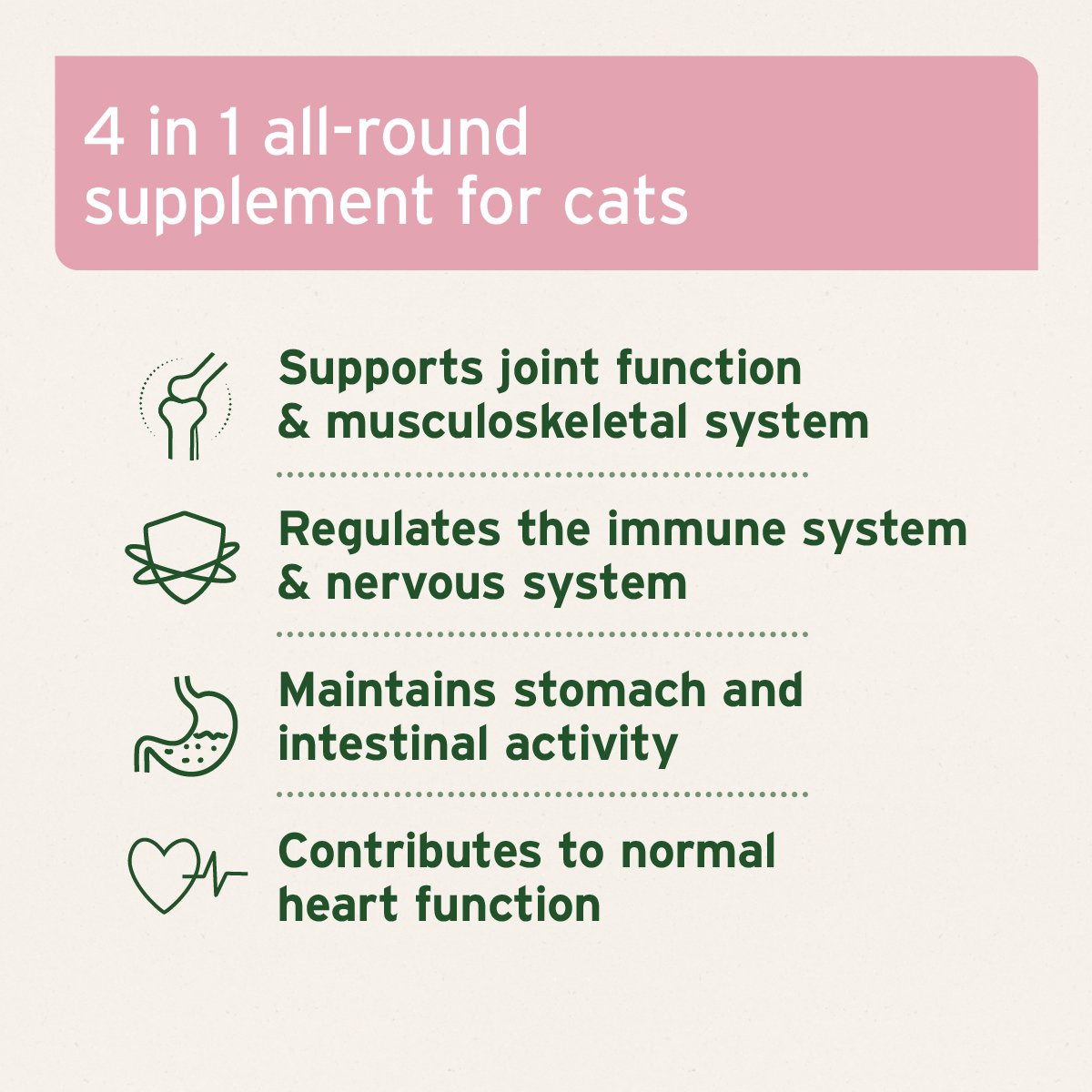 4in1 Complete for Cats 60g - Advanced Health Supplement - AniForte UK