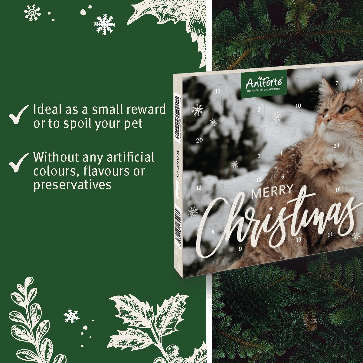 Advent Calendar "Merry Christmas" for Cats - AniForte UK