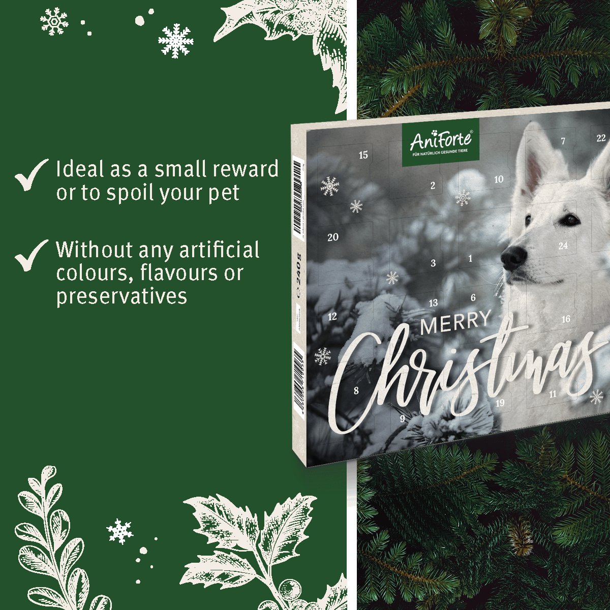 Advent Calendar "Merry Christmas" for Dogs - AniForte UK