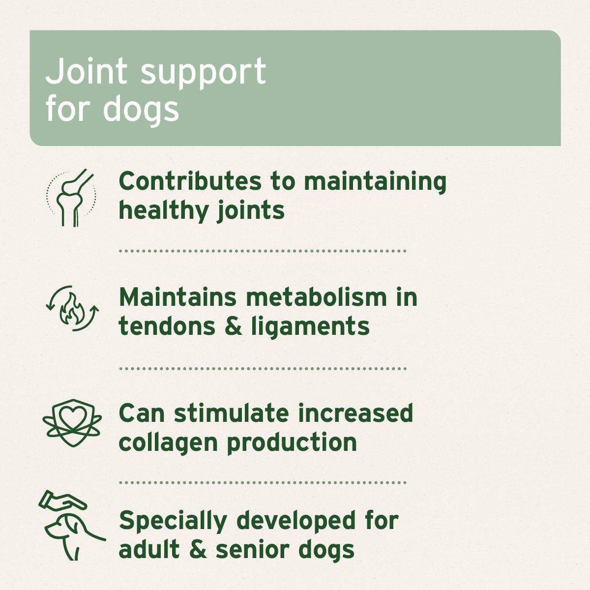 AgilityVET Joint Care Tablets for Dogs - available in two sizes - AniForte UK