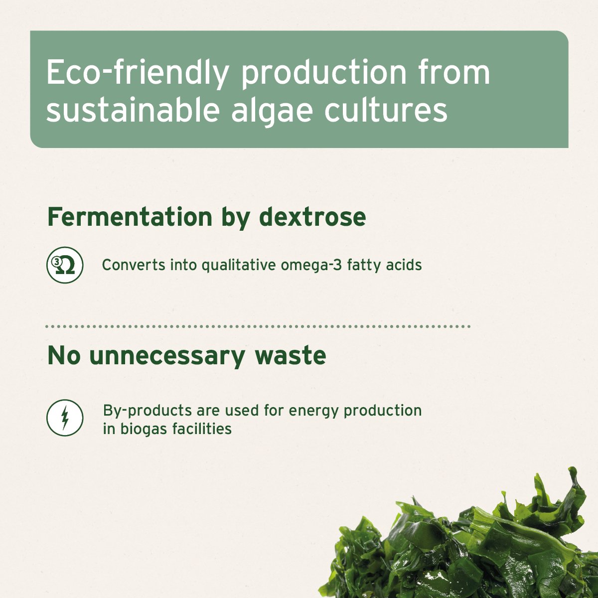 Algae Oil - AniForte UK