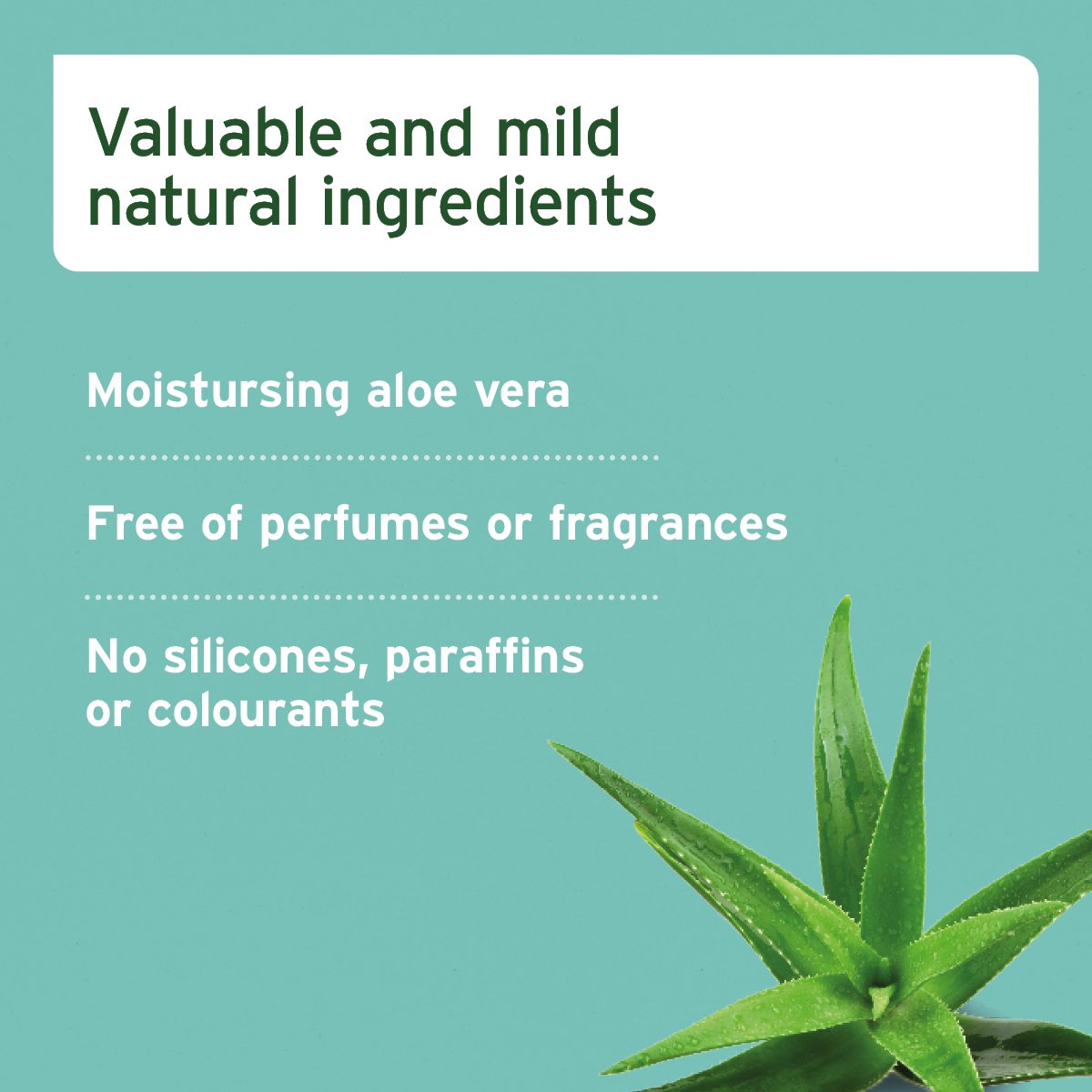 Aloe Vera Mild Shampoo for Puppies - 200ml - AniForte UK