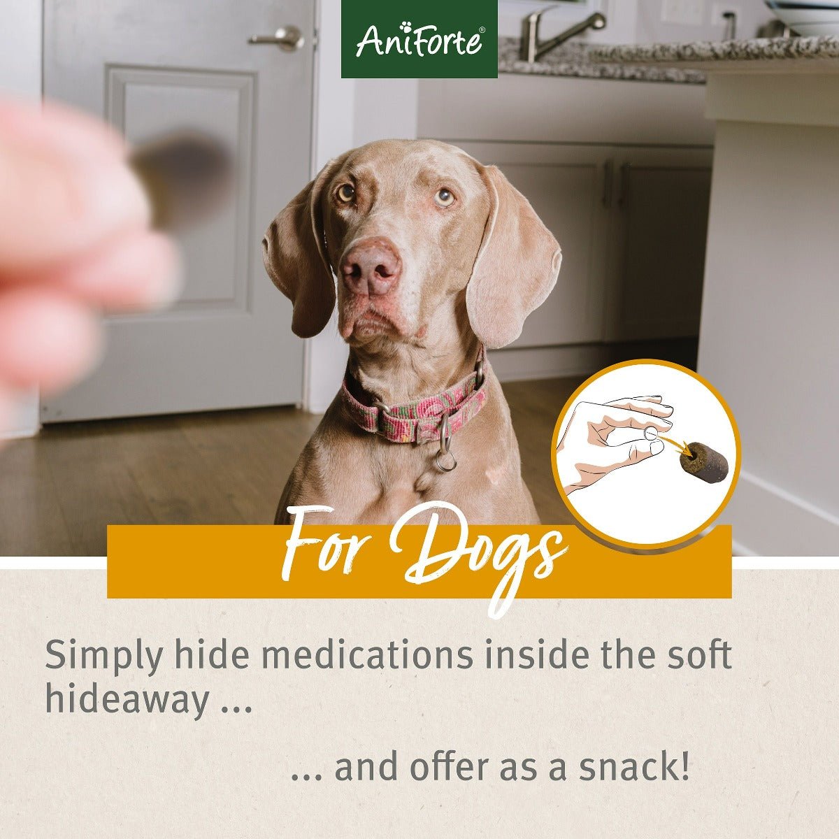 AniForte® Hideaway Snack - AniForte UK