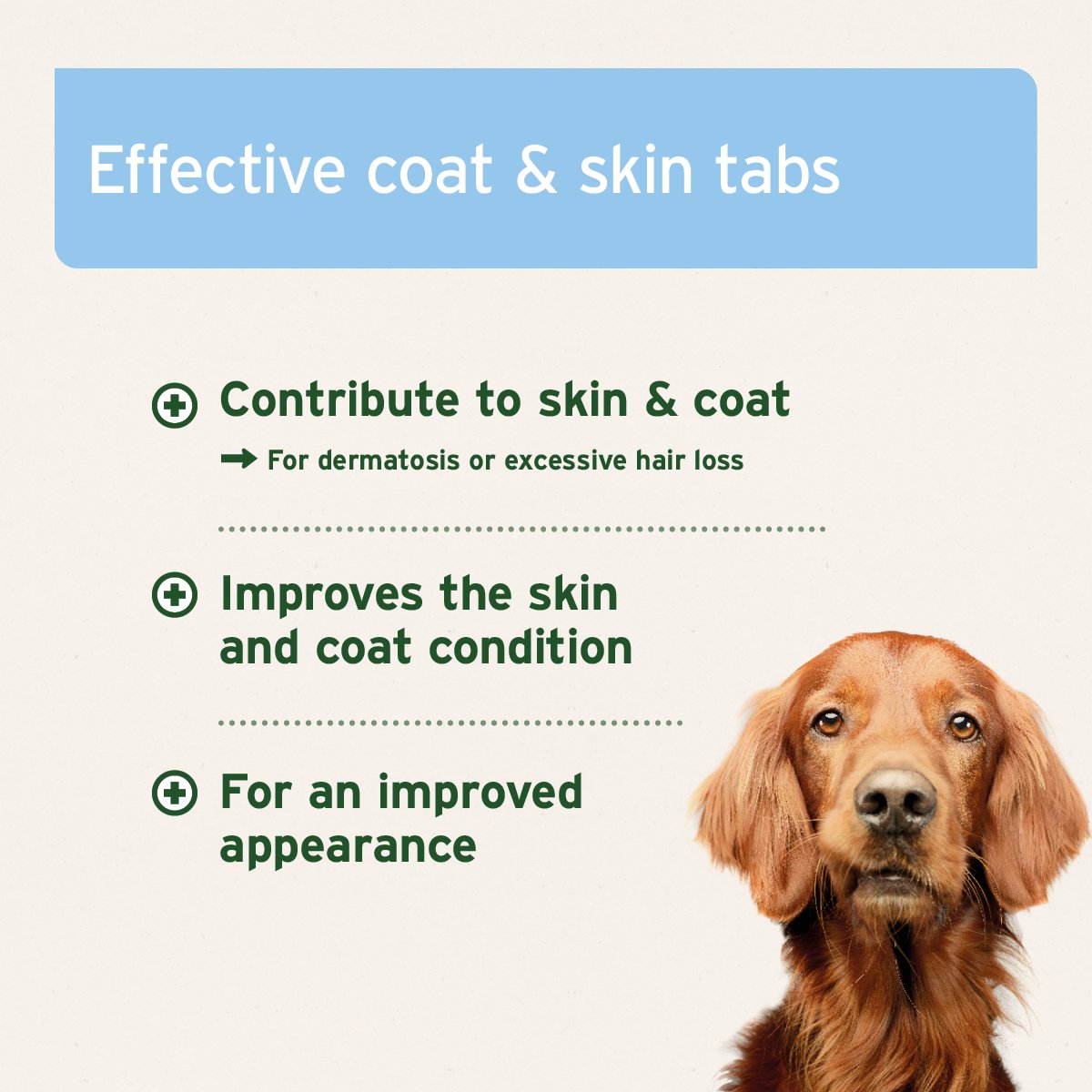 Aniforte® plus Coat & Skin - AniForte UK