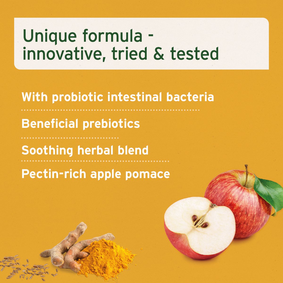 Aniforte® plus Probiotic Tabs - AniForte UK