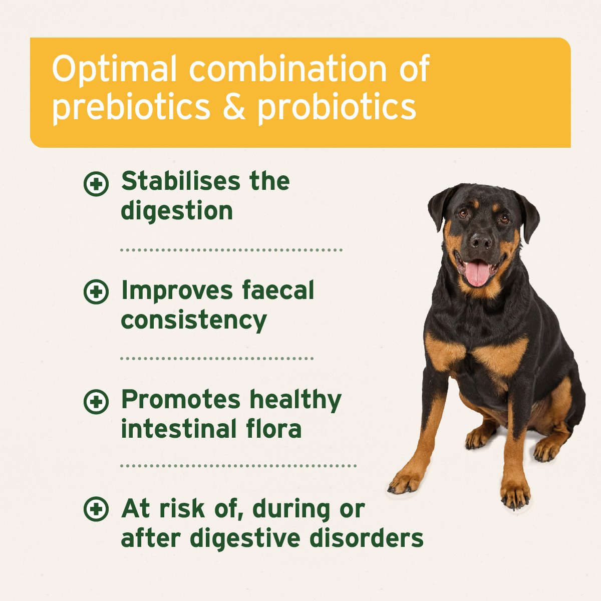 Aniforte® plus Probiotic Tabs - AniForte UK