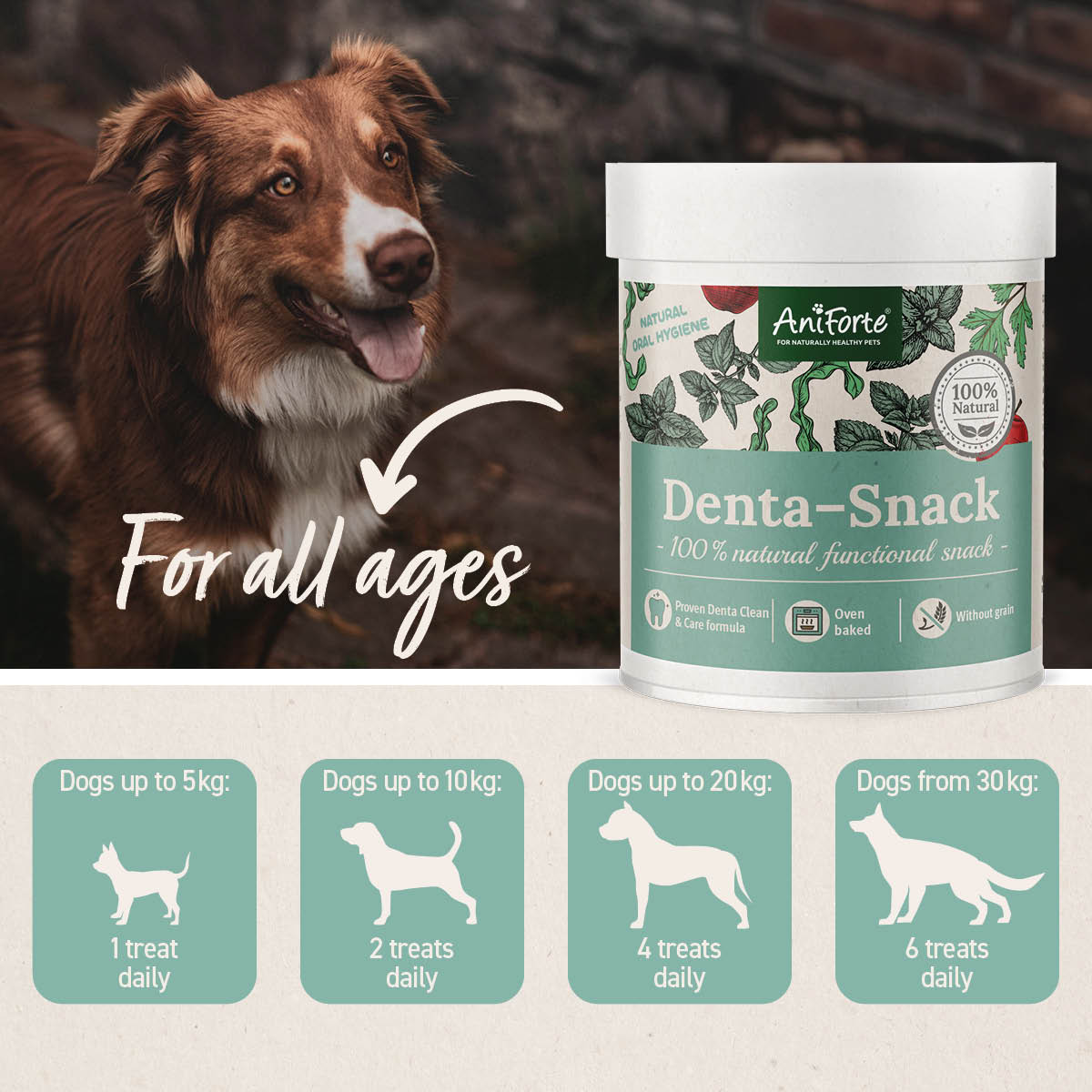 Denta - Snack - AniForte UK