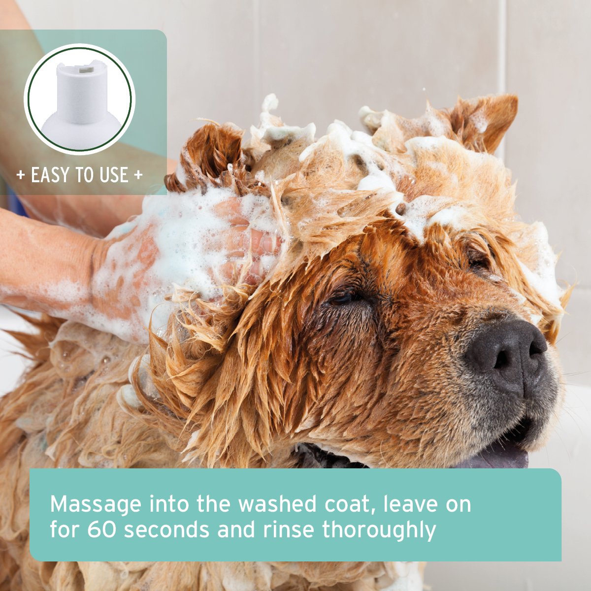 Fur Harmony Coconut Shampoo for Dogs - 200ml - AniForte UK