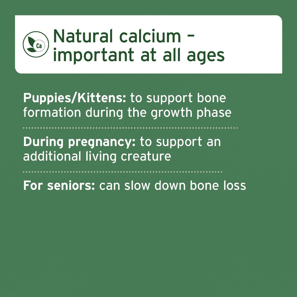 Ground Beef Bones Natural Calcium Supplement for Dogs Cats