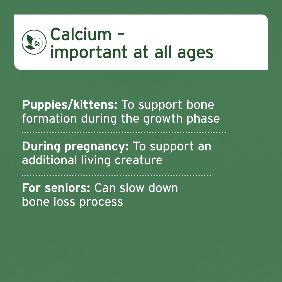 Ground Horse Bones - Natural Calcium Supplement for Dogs & Cats - AniForte UK