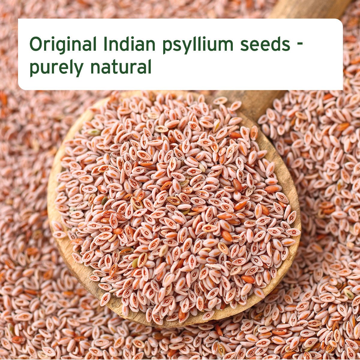 Indian Psyllium Seeds for Dogs, Cats and Horses - AniForte UK