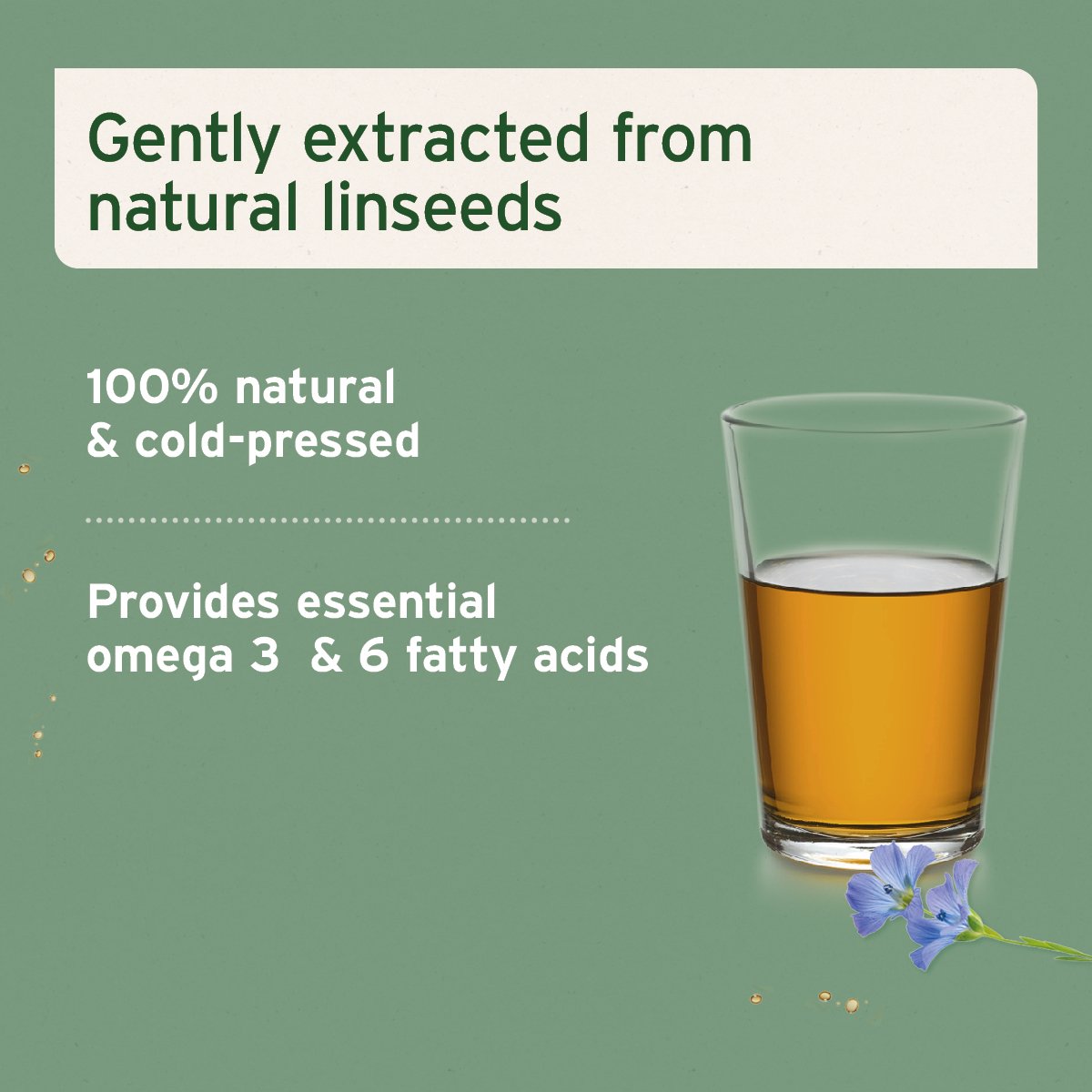 Linseed Oil 1L - AniForte UK