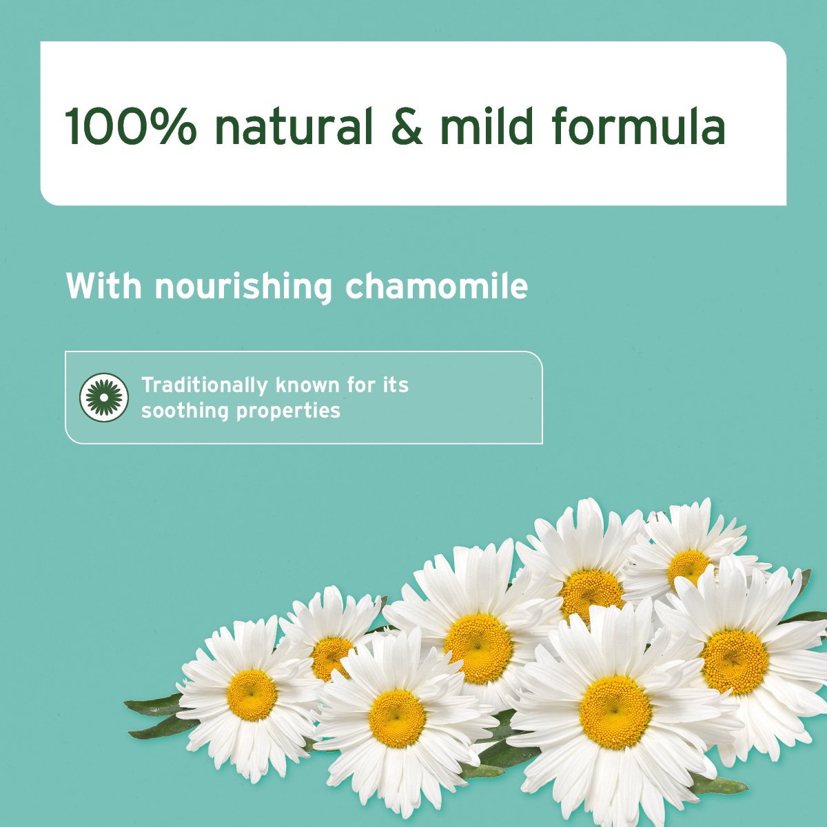 Natural Vet Ear Cleaner - Soothing Camomile - 250ml - AniForte UK