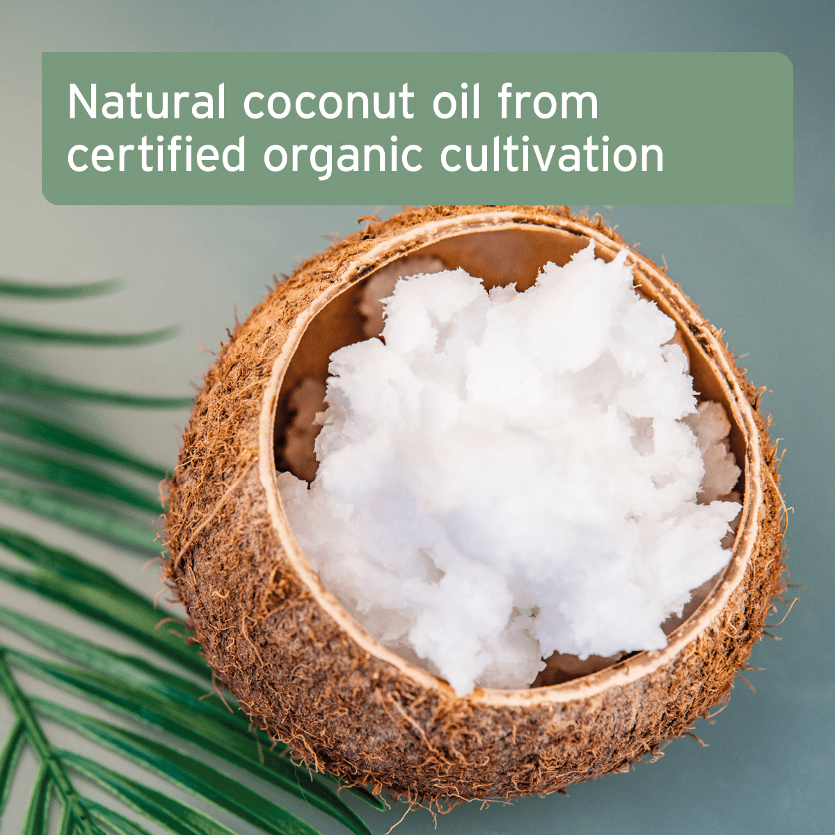 Organic Coconut Oil - AniForte UK