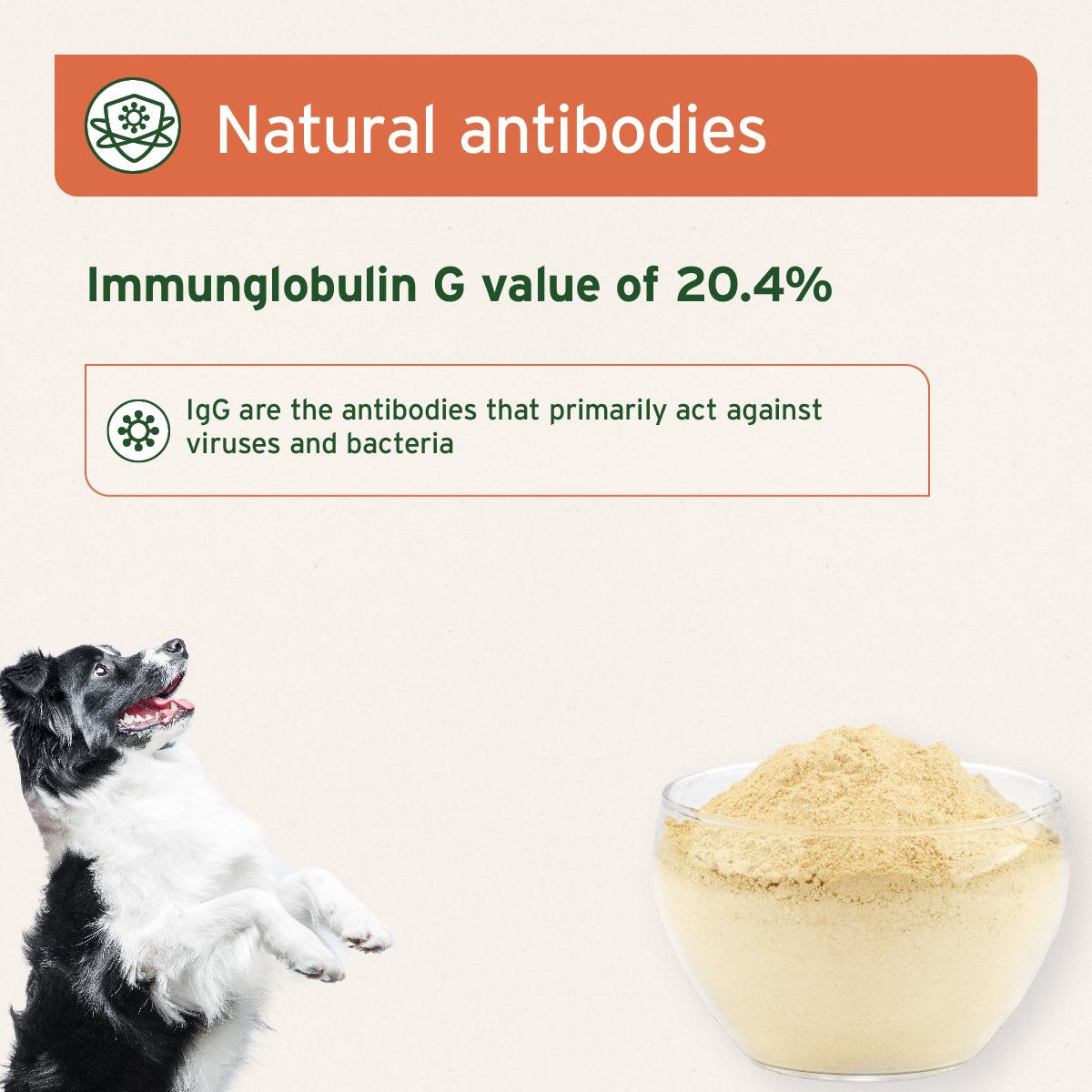 Premium Colostrum Powder for Dogs & Cats - 100g - AniForte UK