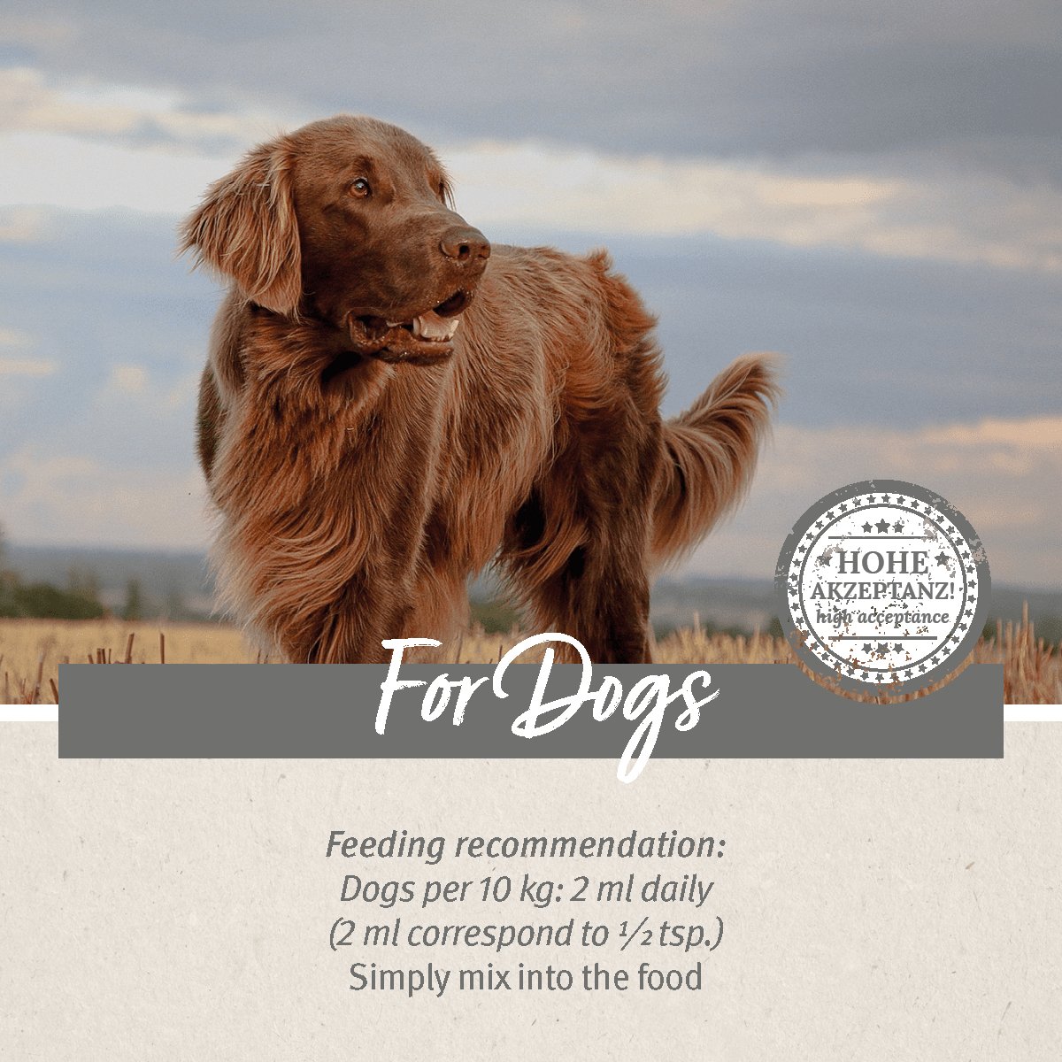 Premium Feed Oil for Dogs available in 2 sizes