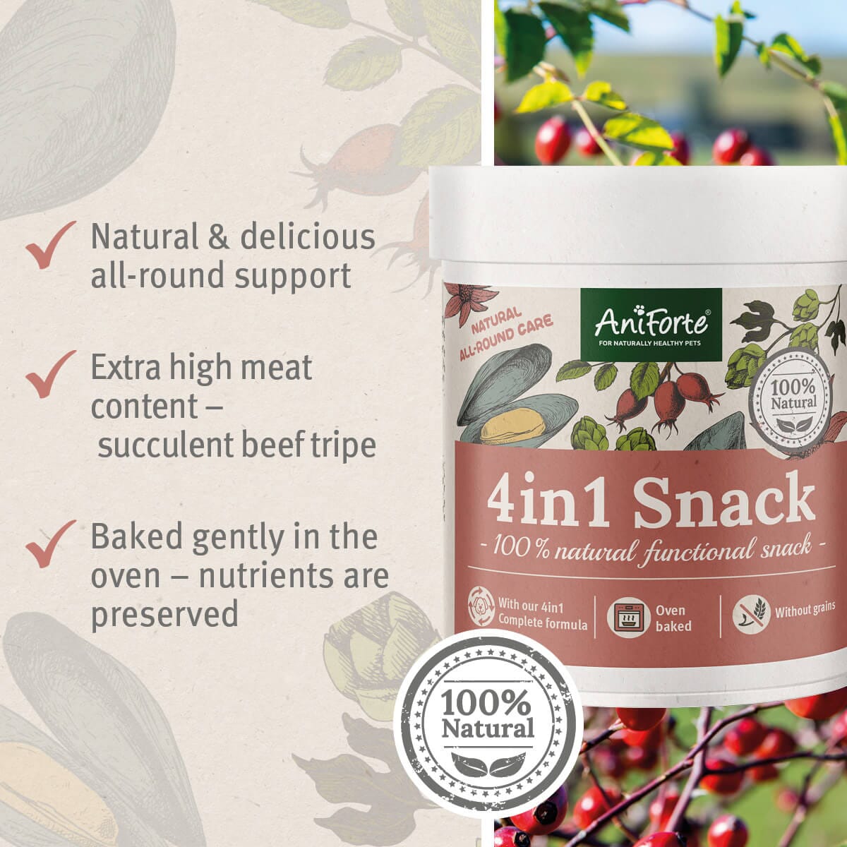 SALE - 4in1 Snack - AniForte UK