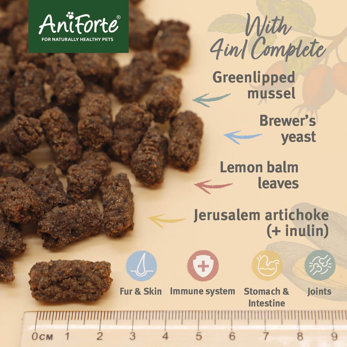 SALE - 4in1 Snack - AniForte UK