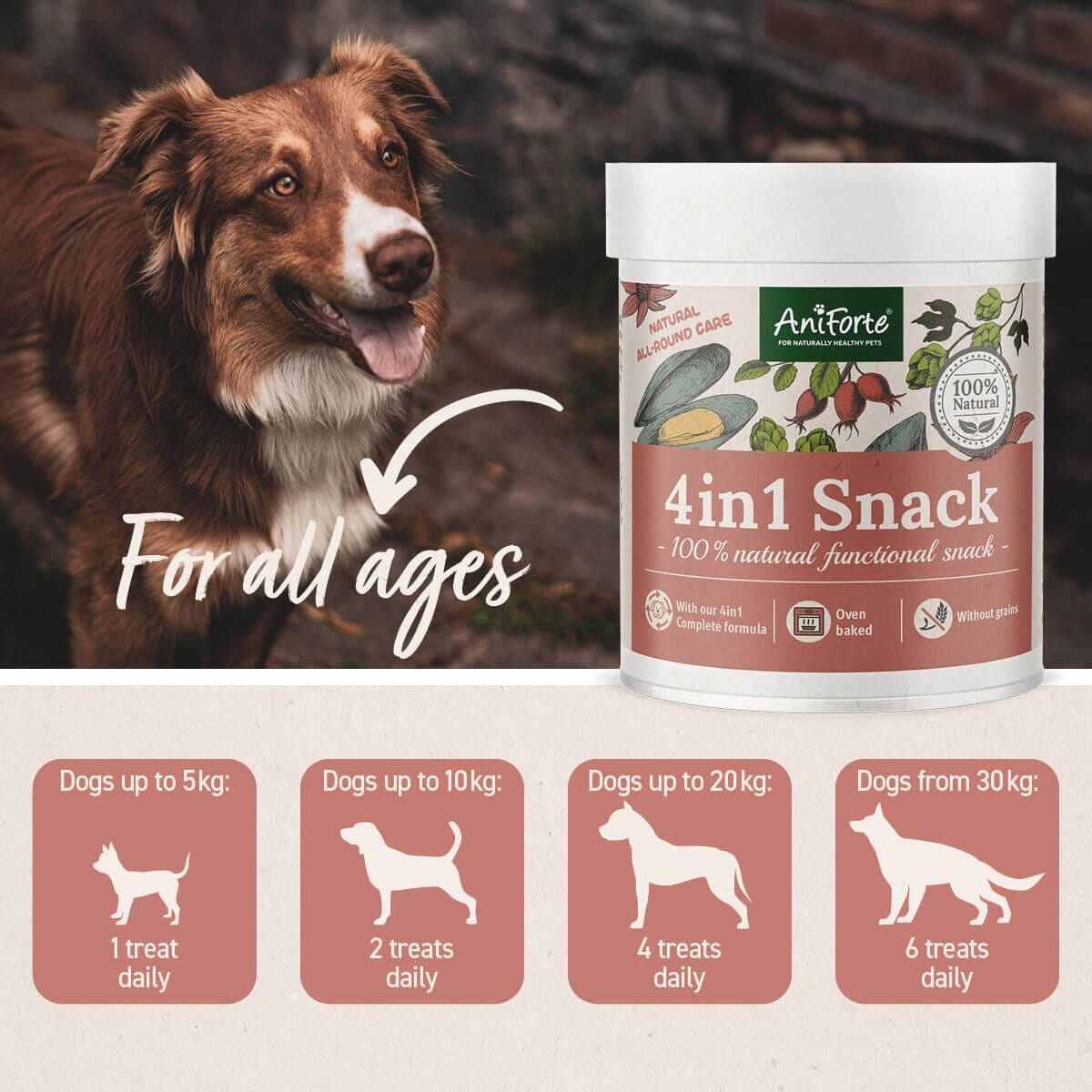 SALE - 4in1 Snack - AniForte UK