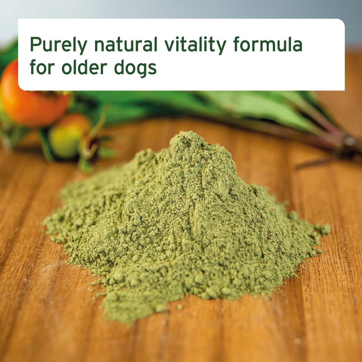 Senior Active Supplement 250g -  Vitality & Agility for Older Dogs - AniForte UK