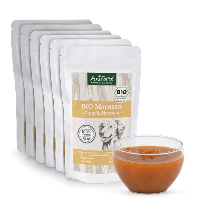 Small Digestion Bundle - AniForte UK