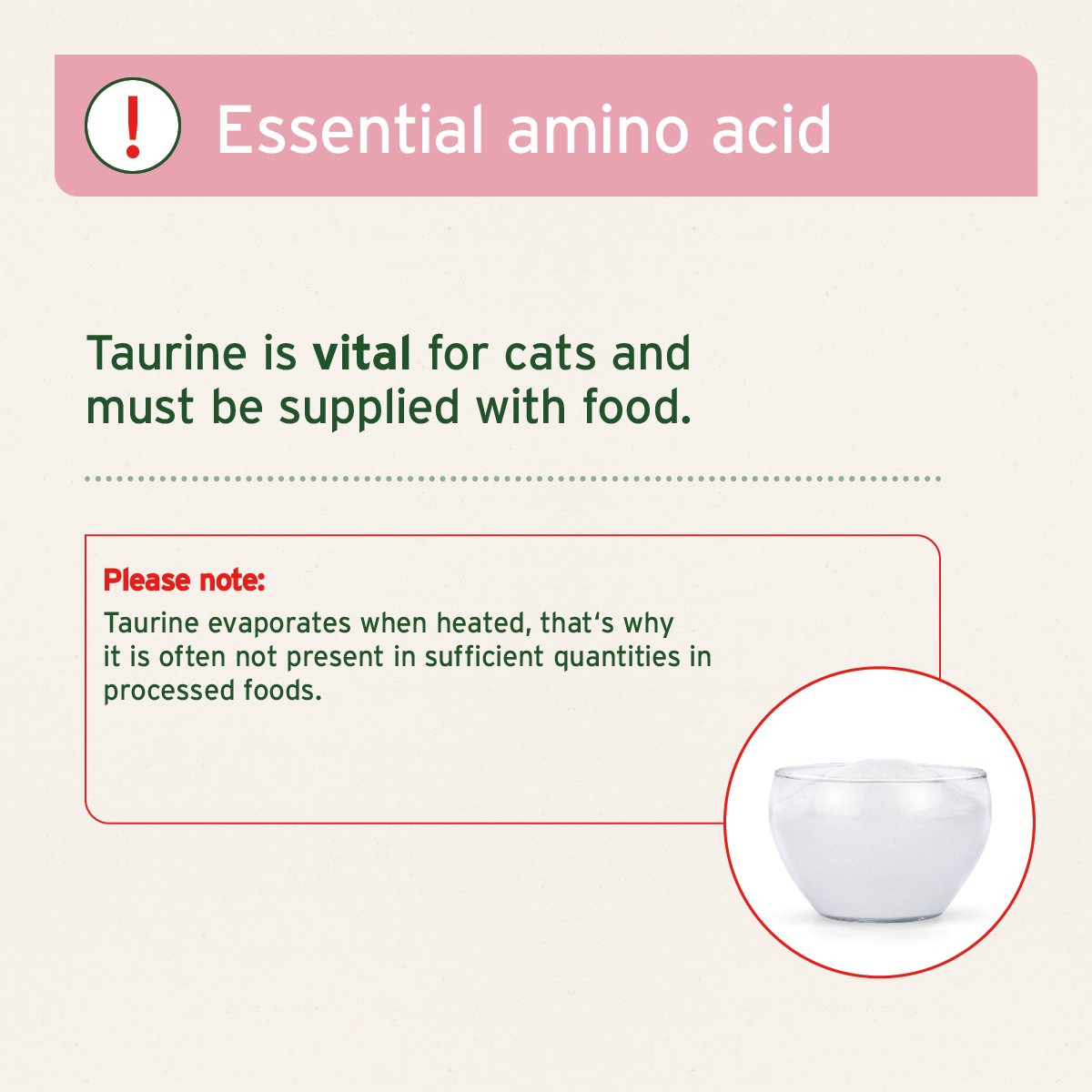 Taurine Powder for Cats Essential Amino Acid Supplement AniForte